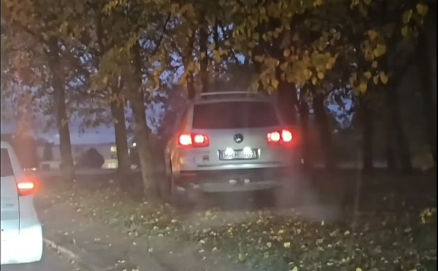 Kui park muutub kiirteeks – täiskuu või hullumeelne idee?