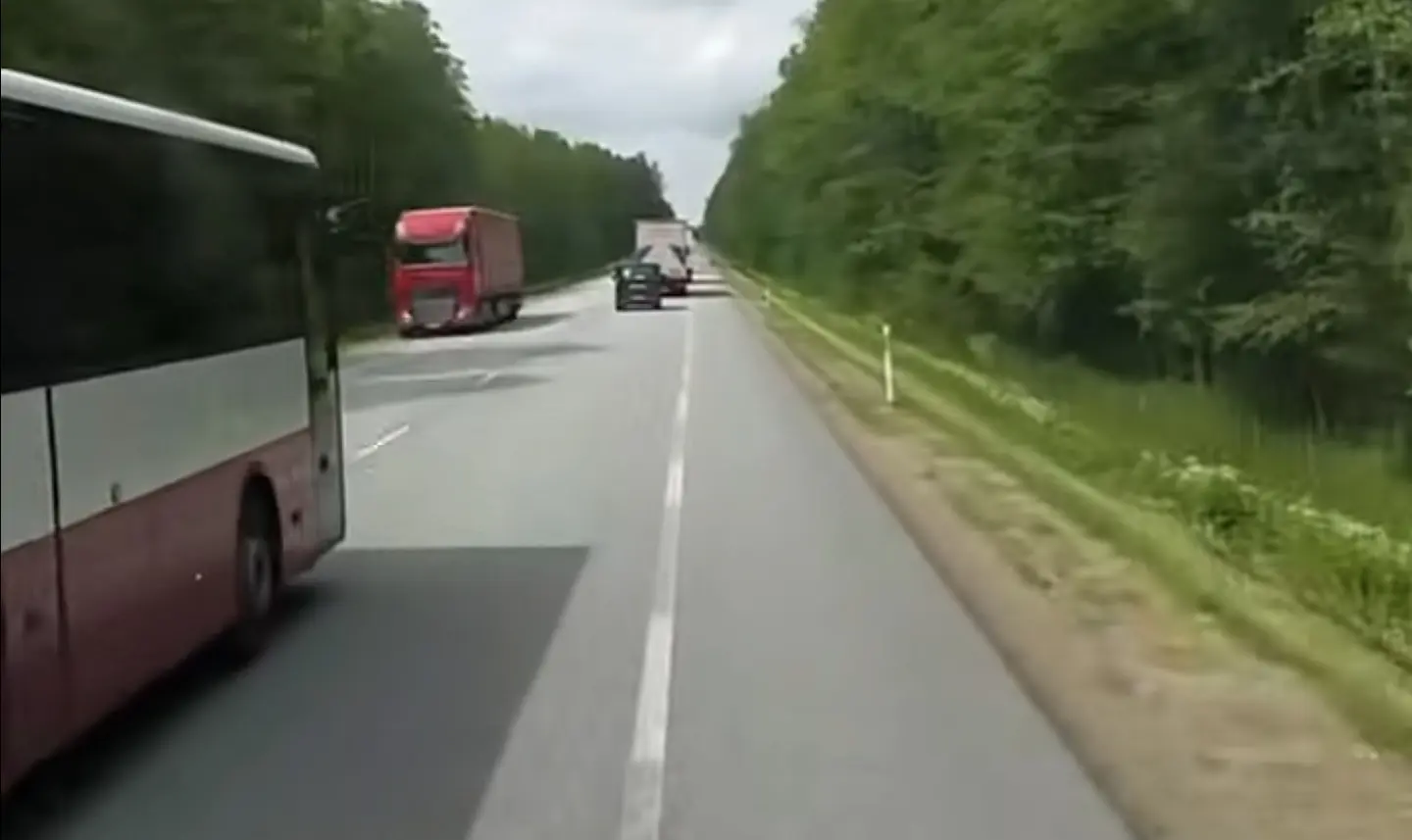 Lapsi täis reisibuss vastassuunas. Mis saakski valesti minna?