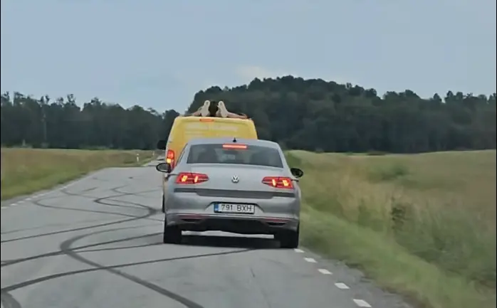Millega videol tegeletakse?
