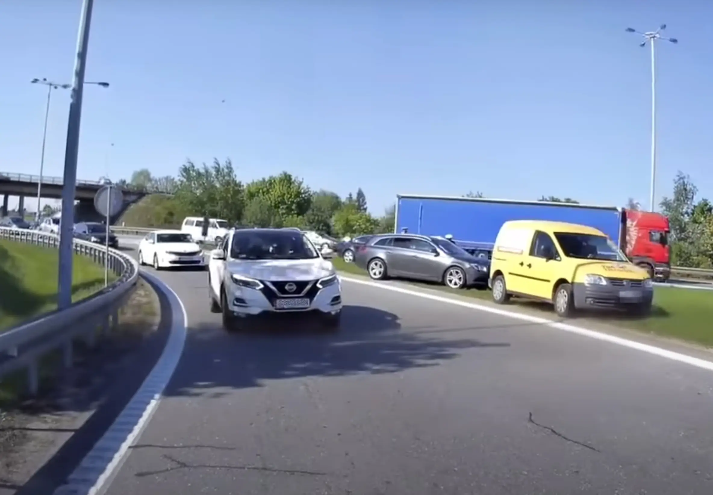 Video | Magavale kassile jooksevad hiired ise suhu. Läheb lausa trügimiseks!