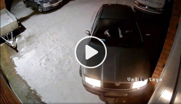 Video ekraanitõmmis