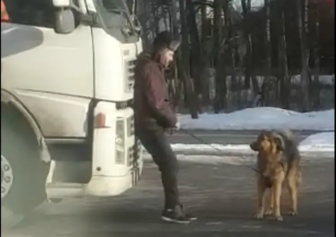 Tea, kas sellise alla ajamise eest karistada ka saab?