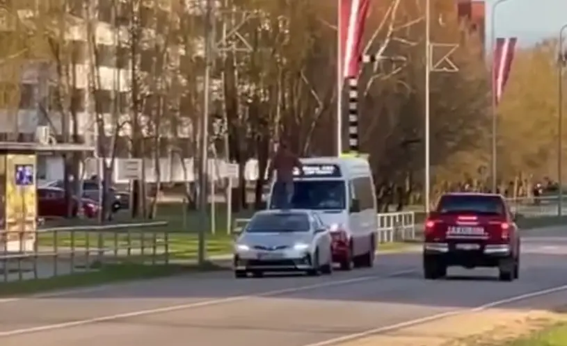 Tänaval üle autode kõndinud kaagile anti pisut peksa ja kutsuti politsei