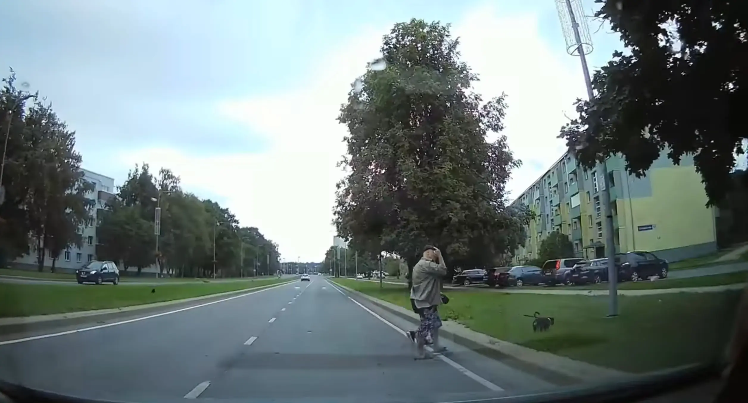 Pista see näpp oma koerale sinnasamusesse!