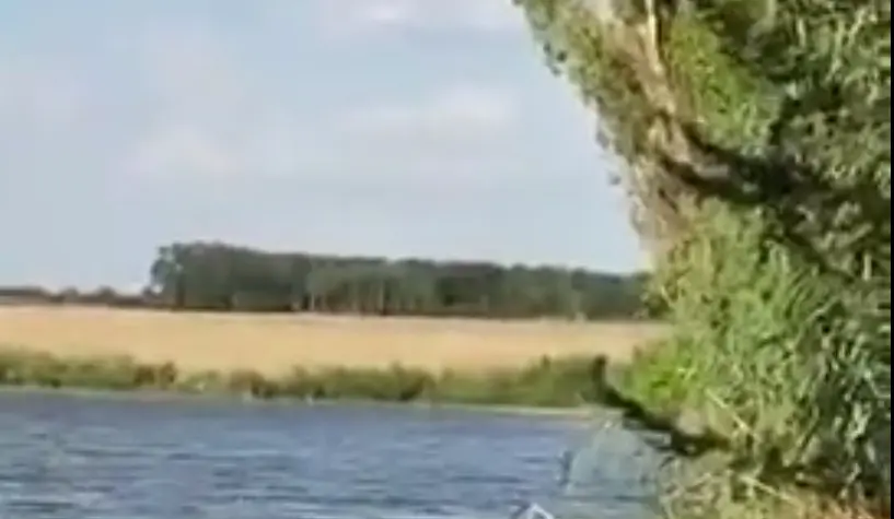 Vaata, kuidas kutid paati vette lasid