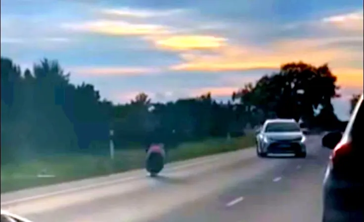 Loll, enesetapja või lihtsalt maani purjus. Järsku kõik korraga?