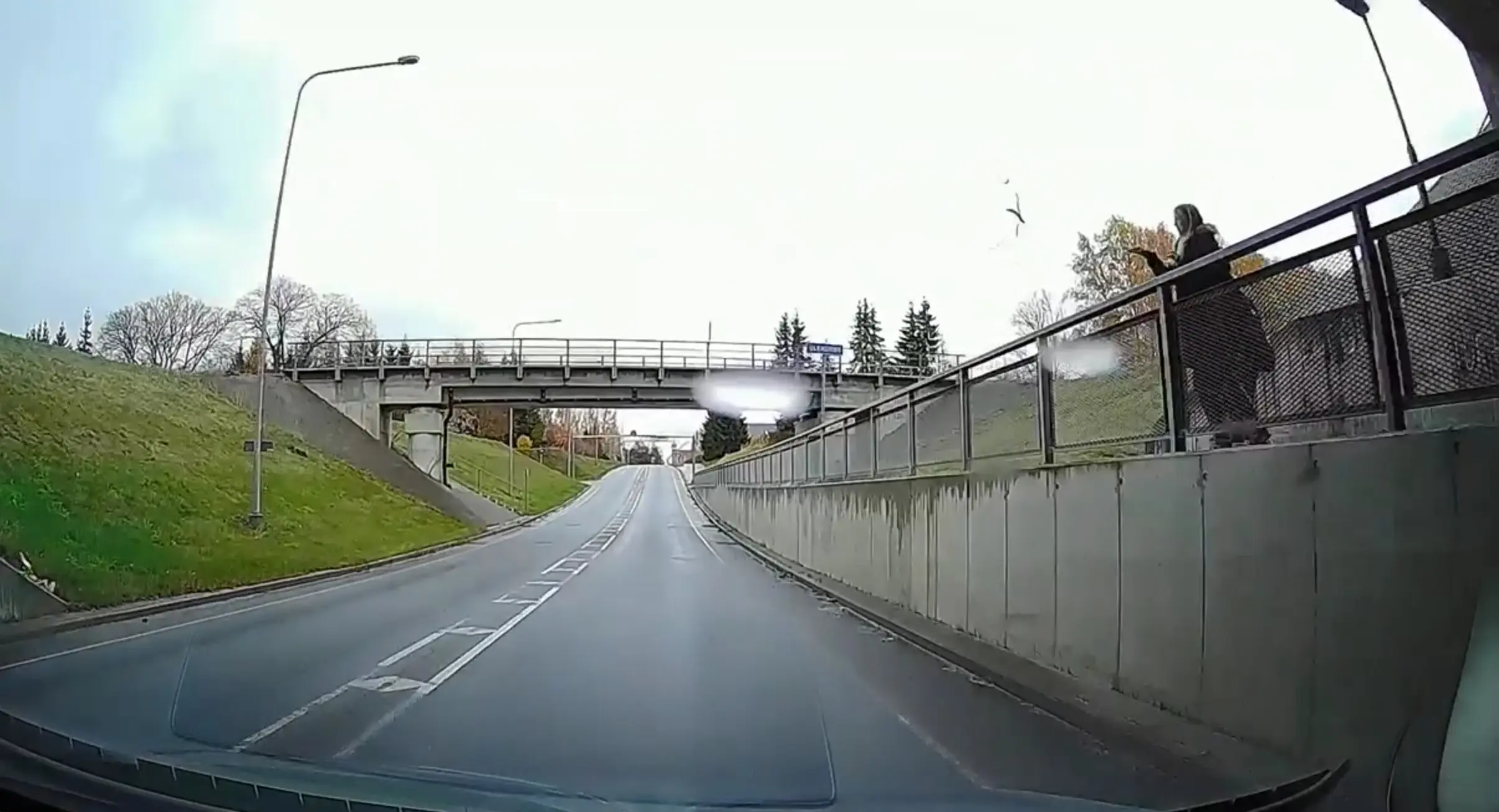 Tartu lähedal loobivad lapsed rämpsu sõitvate autode pihta