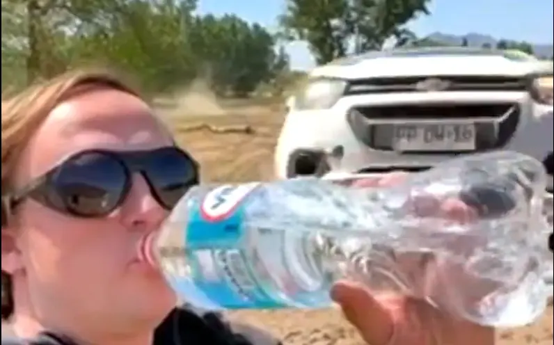 Riskantne trikk