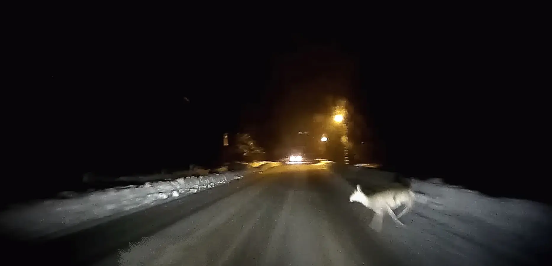 Bämbi omadega õhtal ja auto tegi avarii kah veel