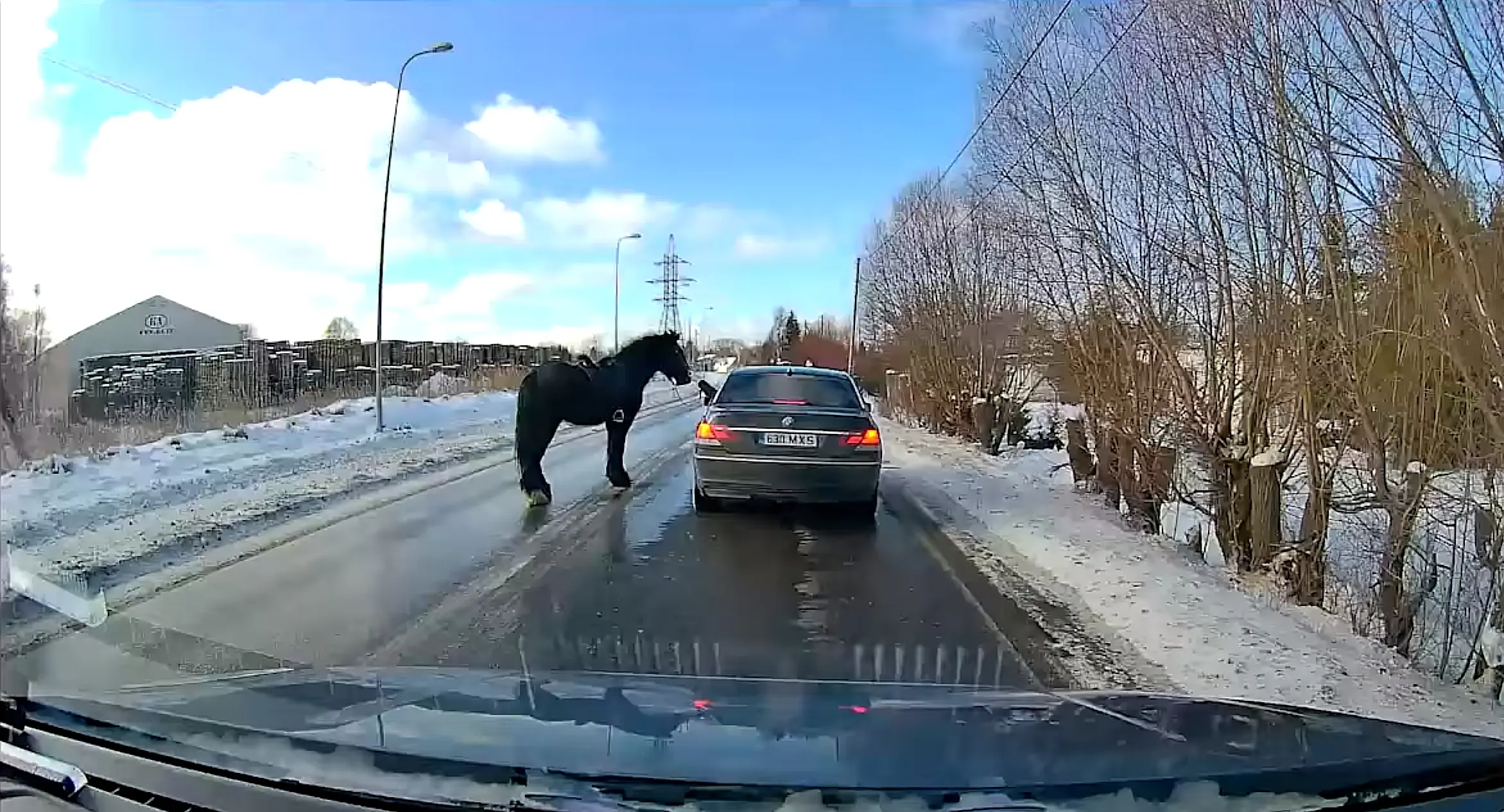 Maardus aeti autodega setukat taga