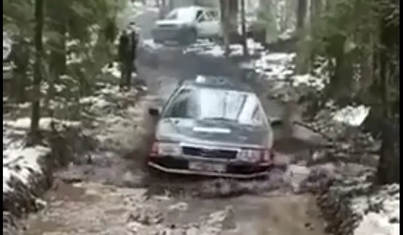 Vali õige nelikvedu!