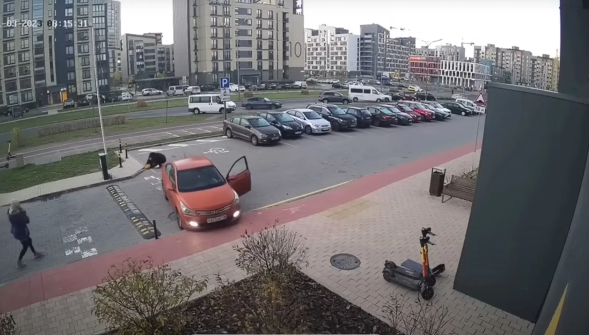 Ema, auto ja laps - neli protokolli, kuid kõik jäid ellu