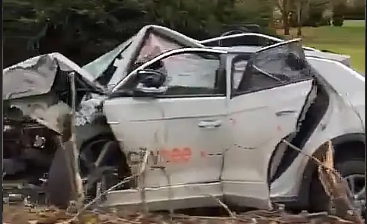 Citybee klient sõitis auto vastu puud