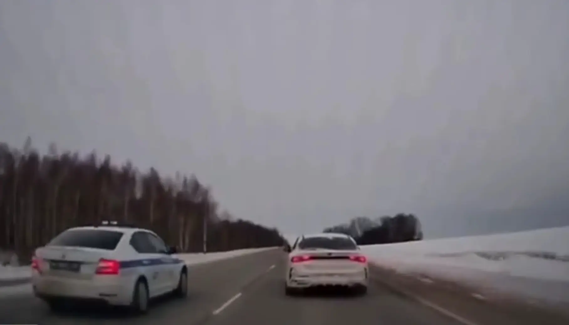 Vene politsei proovis, kas vilkurid aitavad avarii ära hoida
