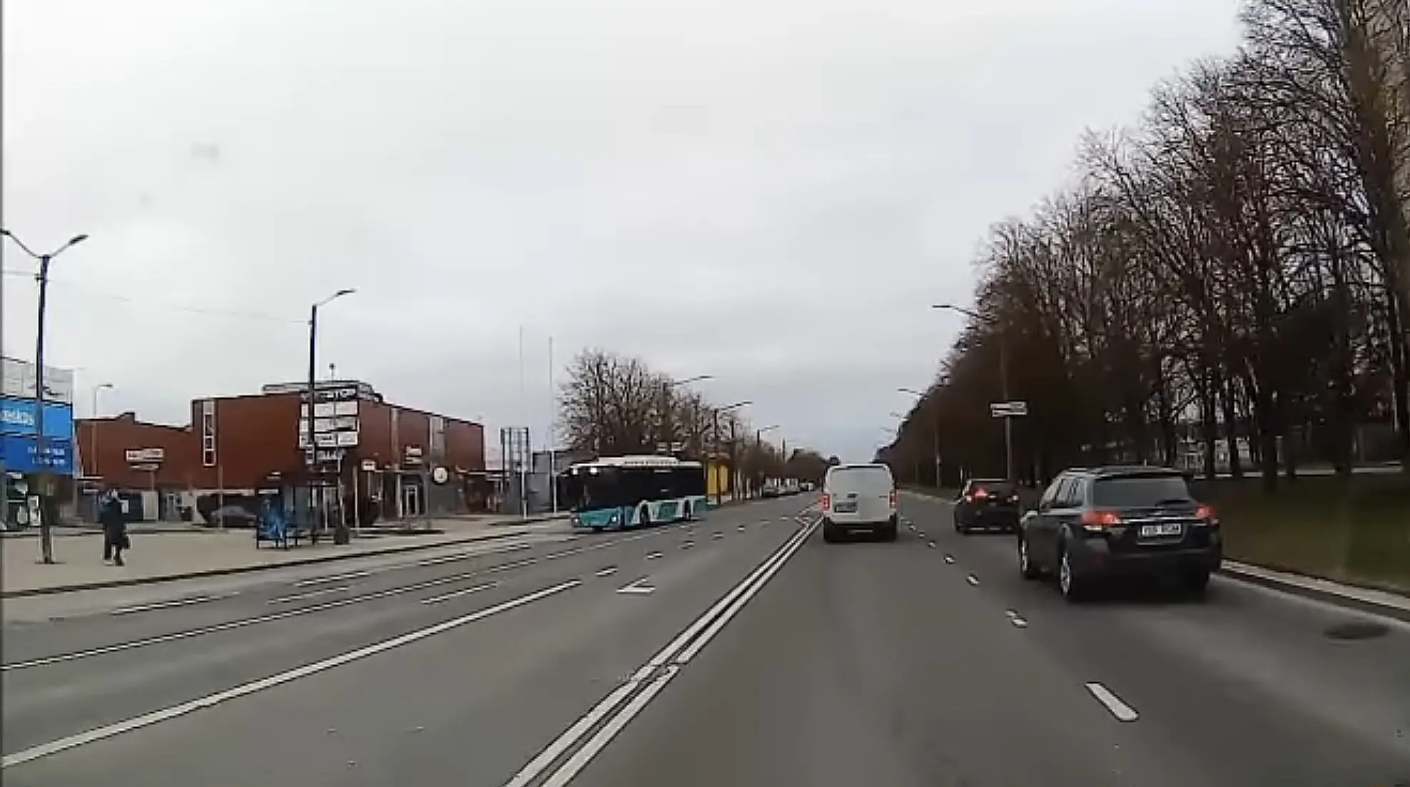Liikluses ainult tropid - kaubikujuhi raske päev