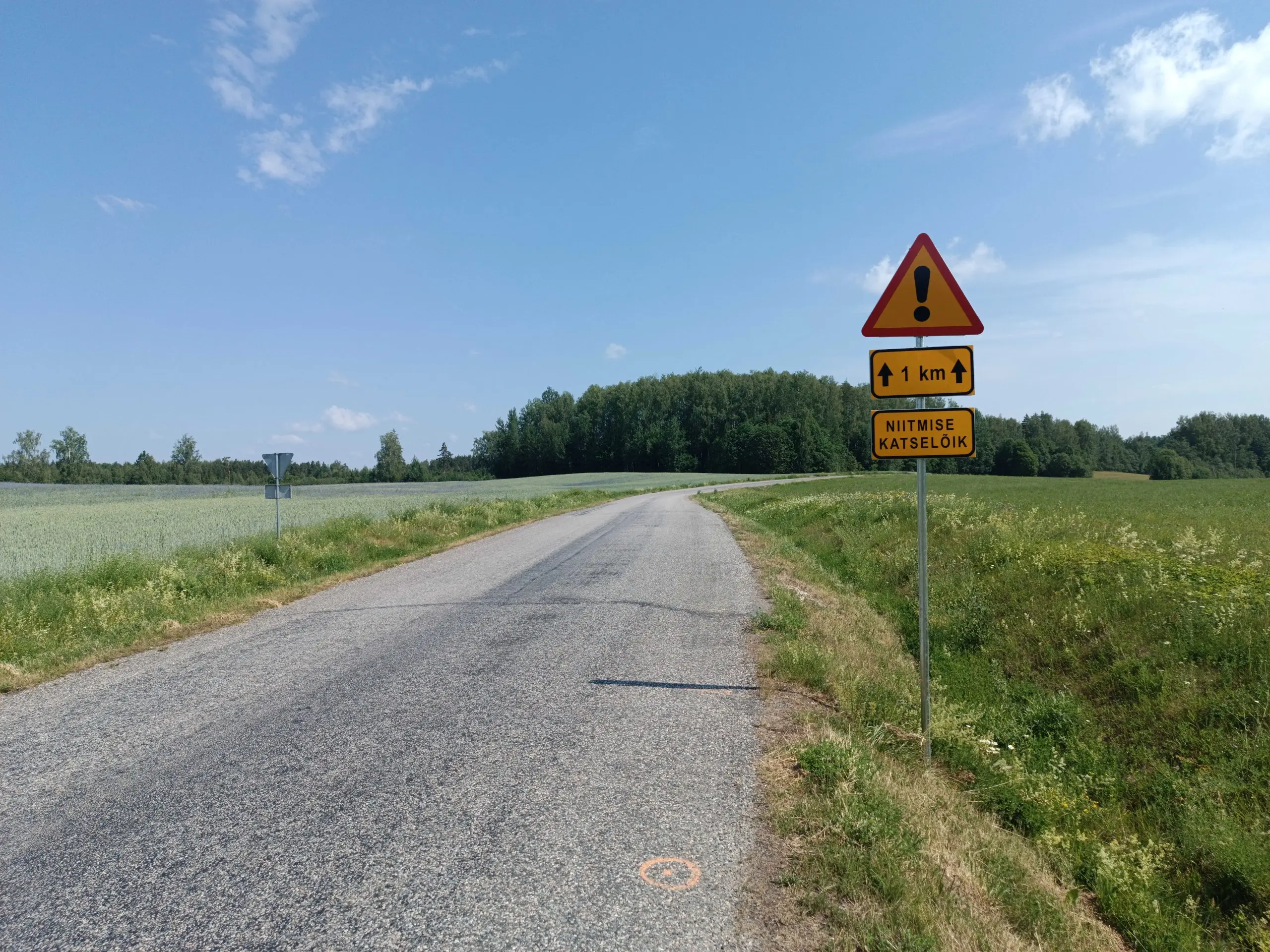Transpordiamet jätkab keskkonnasõbraliku niitmise katseprojektidega viies piirkonnas